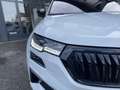 Skoda Karoq 2,0 TDI 4x4 DSG Sportline Nero - thumbnail 7