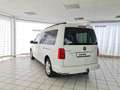 Volkswagen Caddy Maxi Comf. BMT, unfallfrei,AHK,1.Hand,Navi,Service Blanc - thumbnail 10