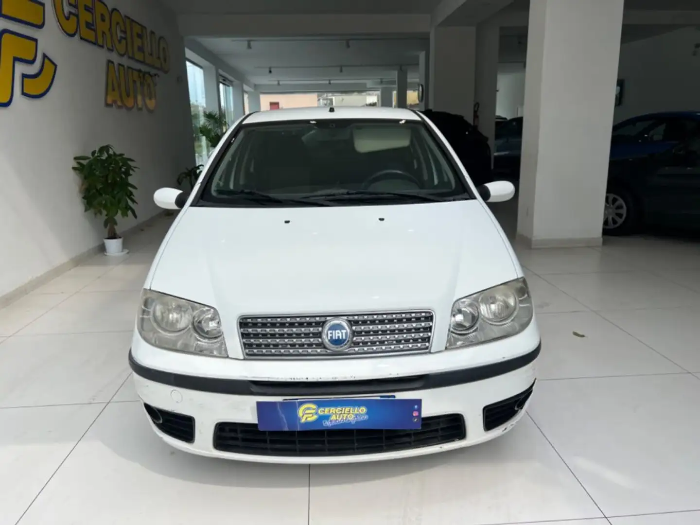 Fiat Punto 1.3 Multijet 16V 5 porte Dynamic Blanco - 1