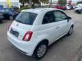 Fiat 500 Basis - thumbnail 4