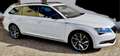 Skoda Superb Combi 2.0 TSI 4x4 DSG SportLine - thumbnail 6