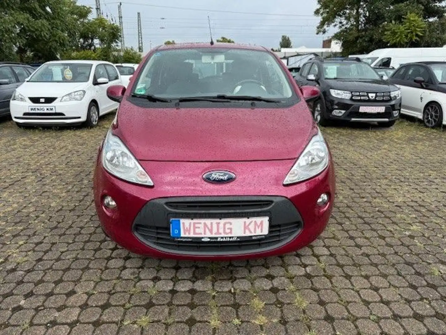 Ford Ka/Ka+ Titanium Rot - 2