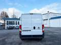 Fiat Ducato Furgone L2h2 Blanco - thumbnail 11