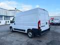 Fiat Ducato Furgone L2h2 Blanco - thumbnail 6
