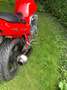 Suzuki Bandit 600 GSF 600 Rood - thumbnail 12