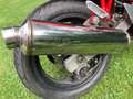 Suzuki Bandit 600 GSF 600 Rood - thumbnail 6