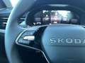 Skoda Kamiq Selection TSI Grau - thumbnail 8