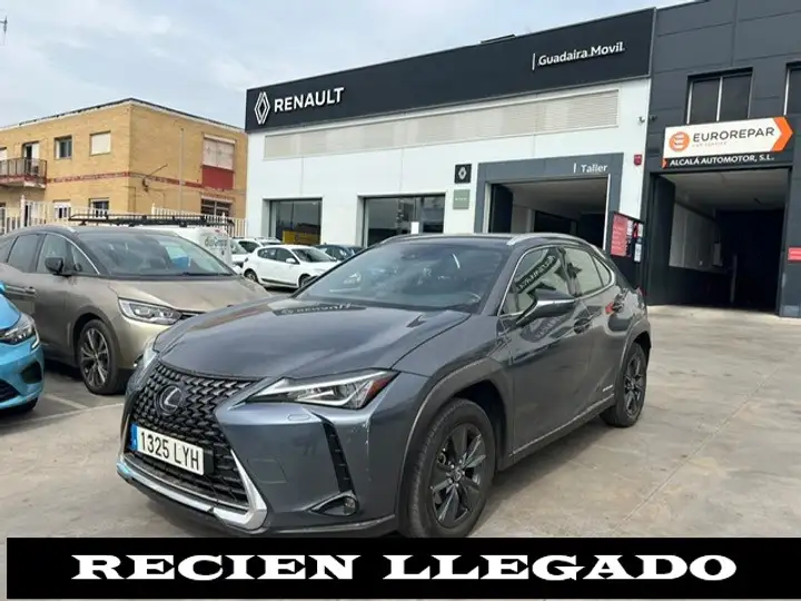 Lexus UX 250h BUSINESS NAVIGATION (2020-) 2022