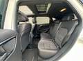 Mercedes-Benz B 200 d*AMG-LINE*PANORAMA*NIGHT*LED-HIGH*KAMERA* Biały - thumbnail 17