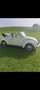 Volkswagen Beetle cabriolet Beige - thumbnail 2