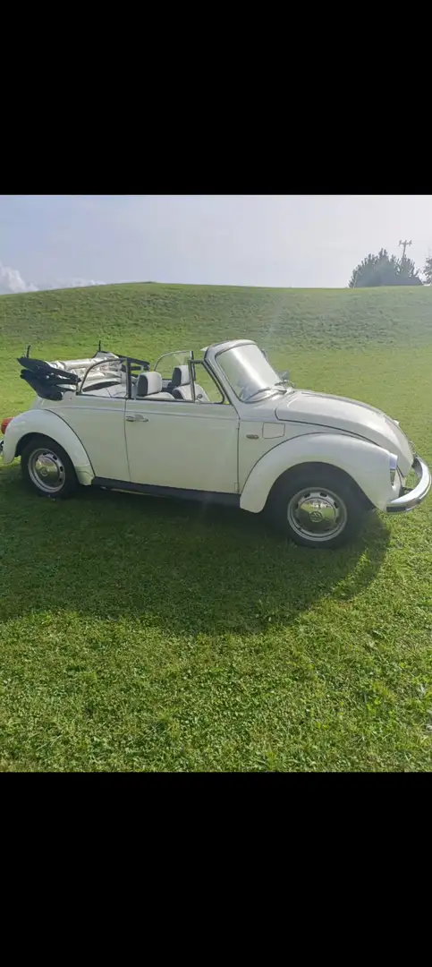 Volkswagen Beetle cabriolet Beige - 2