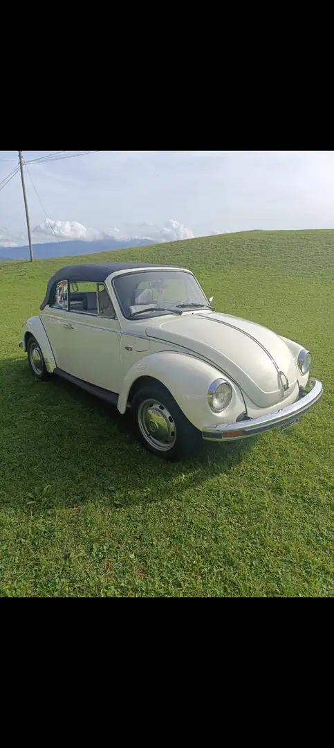 Volkswagen Beetle cabriolet Beige - 1