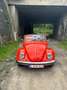 Volkswagen Coccinelle Vw coccinelle cabriolet Rot - thumbnail 1