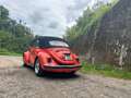 Volkswagen Coccinelle Vw coccinelle cabriolet Rot - thumbnail 5