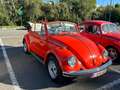 Volkswagen Coccinelle Vw coccinelle cabriolet Rood - thumbnail 14