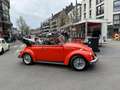 Volkswagen Coccinelle Vw coccinelle cabriolet Red - thumbnail 15