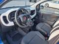 Fiat Panda NUOVA PANDINA CROSS 1.0 HYBRID Blu/Azzurro - thumbnail 10