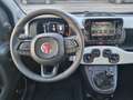 Fiat Panda NUOVA PANDINA CROSS 1.0 HYBRID Blu/Azzurro - thumbnail 12
