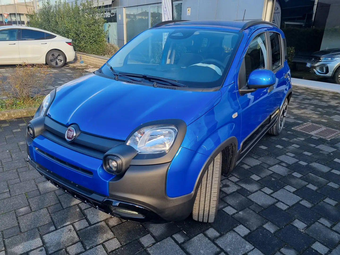 Fiat Panda NUOVA PANDINA CROSS 1.0 HYBRID Blu/Azzurro - 2