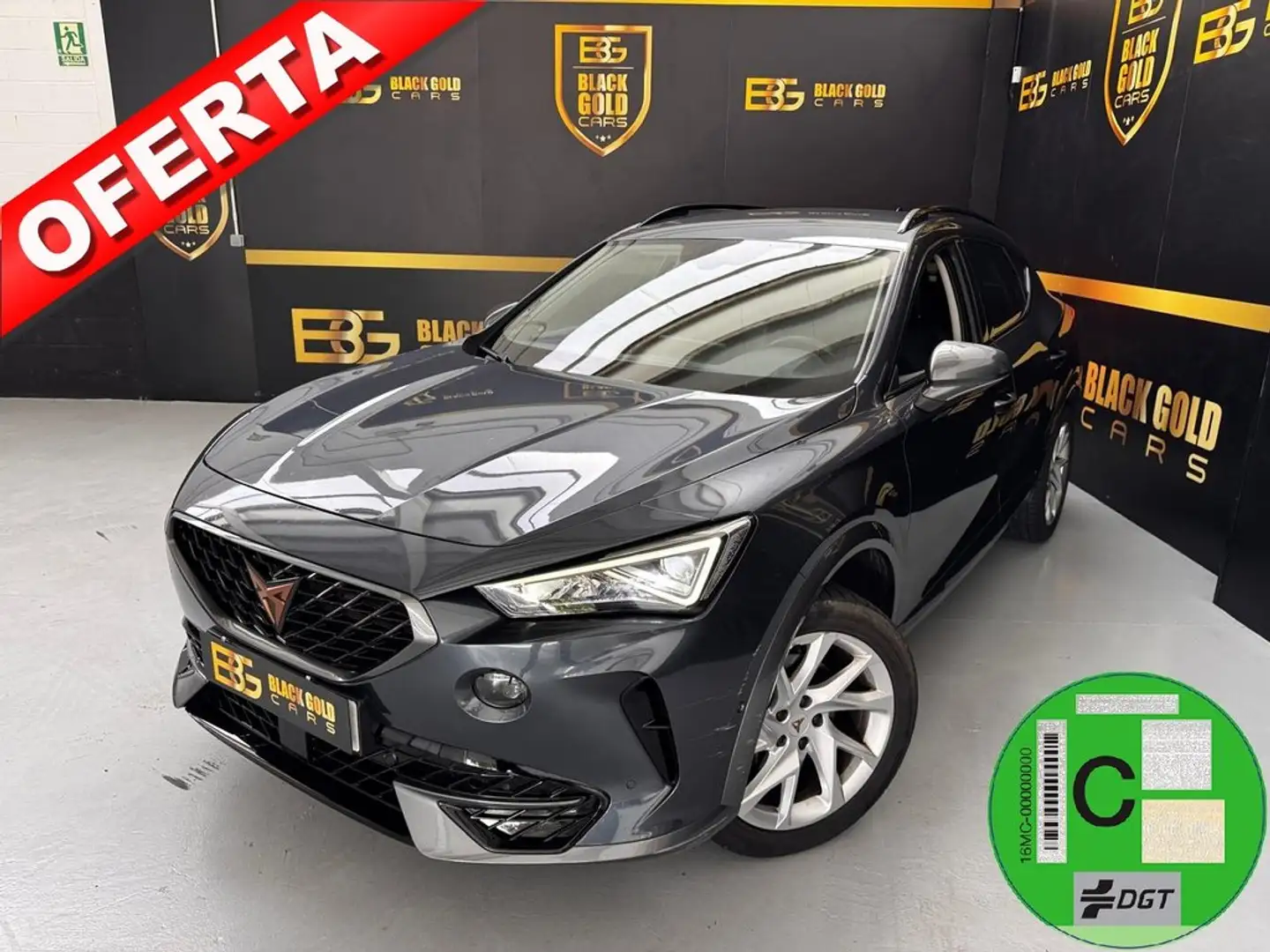 CUPRA Formentor 2.0 TDI 110kW (150 CV) Gris - 1