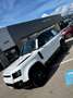 Land Rover Defender Defender 110 P300e X-Dynamic HSE Weiß - thumbnail 7