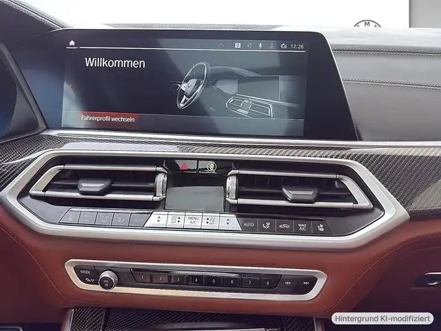 BMW X5 view 8