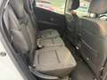 Renault Scenic 1.5 dci energy Bose 110cv edc Blanc - thumbnail 11