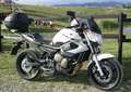 Yamaha XJ 6 Naked Bianco - thumbnail 5