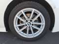 BMW 320 i Touring M Sport Driving Assist / Panoramada Weiß - thumbnail 12