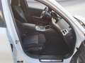 BMW 320 i Touring M Sport Driving Assist / Panoramada Weiß - thumbnail 9
