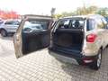Ford EcoSport 125PS Autm. Titanium Navi Winter B&O Beige - thumbnail 12