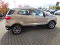 Ford EcoSport 125PS Autm. Titanium Navi Winter B&O Beige - thumbnail 6