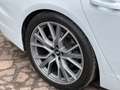 Audi A6 Lim. 50 TDI quattro sport Blanco - thumbnail 20