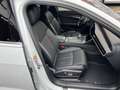 Audi A6 Lim. 50 TDI quattro sport Blanco - thumbnail 18