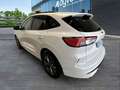 Ford Kuga 1.5 EcoBoost ST-Line X FWD 150 Blanco - thumbnail 6