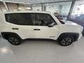 Jeep Renegade 1.0 Limited 4x2 Blanco - thumbnail 5