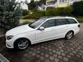 Mercedes-Benz 220 220 T Bluetec Bílá - thumbnail 7