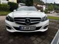 Mercedes-Benz 220 220 T Bluetec Bílá - thumbnail 5