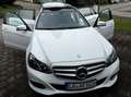 Mercedes-Benz 220 220 T Bluetec Bílá - thumbnail 8