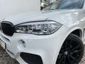 BMW X5 xDrive40d M-Paket HUD h/k PANO Std.-Hz. AHK Weiß - thumbnail 10