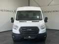 Ford Transit Kasten 2,0 EcoBlue L3H2 330 Trend Weiß - thumbnail 2