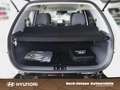 Hyundai Inster Cross EV  Effizienz-Paket - thumbnail 15
