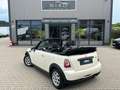 MINI One Cabrio One Highgate Beige - thumbnail 4