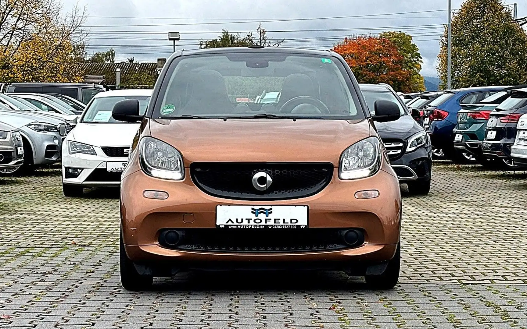 smart forTwo Passion cabrio  66 kW/VOLLSHEFT/SHZ Braun - 2