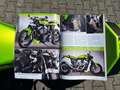Harley-Davidson XR 1200 Sportster*Custom*1 of 1*UNIKAT*Dream Machines Groen - thumbnail 26