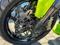 Harley-Davidson XR 1200 Sportster*Custom*1 of 1*UNIKAT*Dream Machines Groen - thumbnail 18