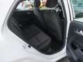 Kia Picanto 1.0 DPi DynamicLine | Allseason banden | Cruise | Wit - thumbnail 15