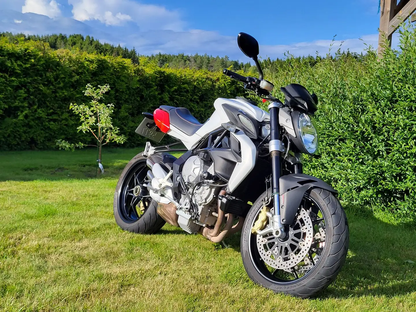 MV Agusta Brutale 800 Blanc - 1