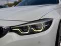 BMW 430 d 4er xDrive Sport Line/ACC/HeadUp/Kamera/LED Blanc - thumbnail 21