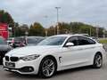 BMW 430 d 4er xDrive Sport Line/ACC/HeadUp/Kamera/LED Blanc - thumbnail 2